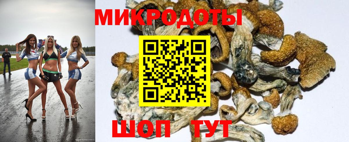 Псилоцибиновые грибы мицелий Балахна