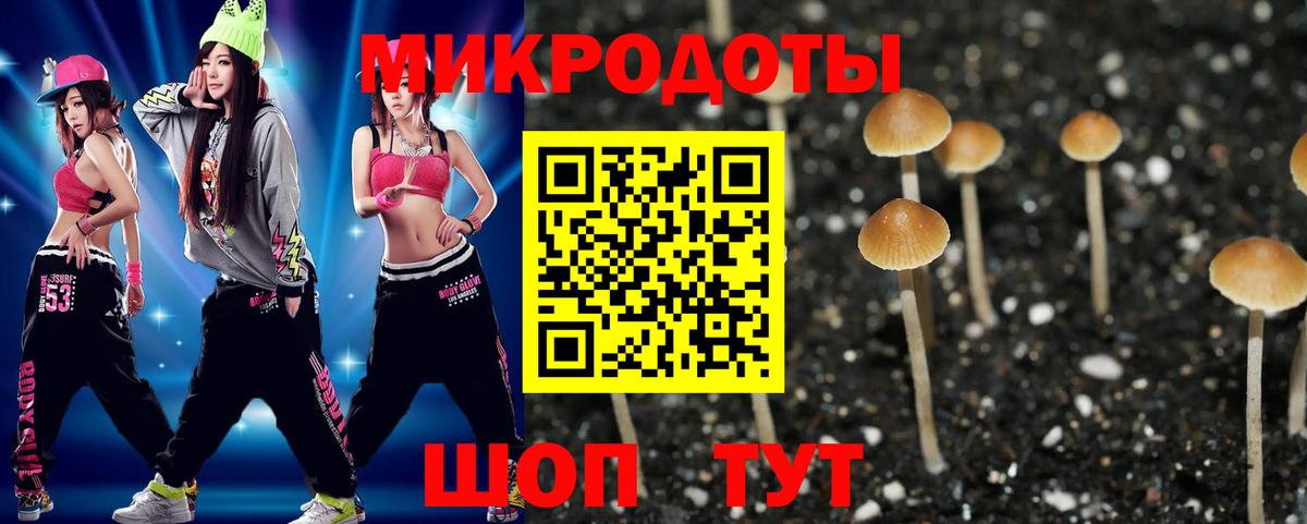Балахна  Галлюциногенные грибы Cubensis  купить наркотики цена  Галлюциногенные грибы Cubensis  Вход с VPN 